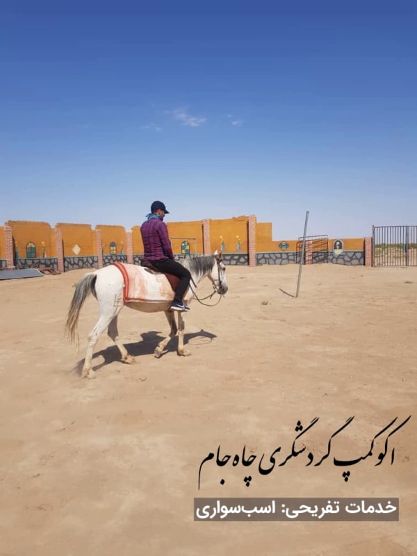 اسب سواری در اکوکمپ گردشگری چاه جام با اسب نارگل