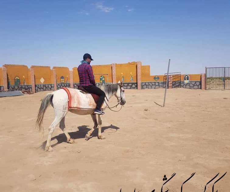 اسب سواری در اکوکمپ گردشگری چاه جام با اسب نارگل